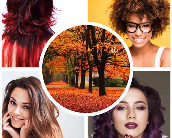 Fall Hair Colors at Rodney Barnes Hair Salon